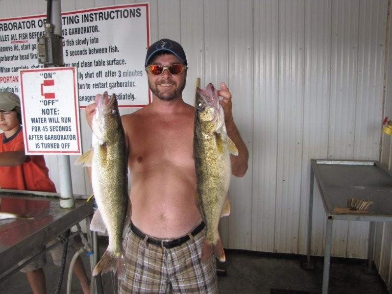 54 cm Walleye